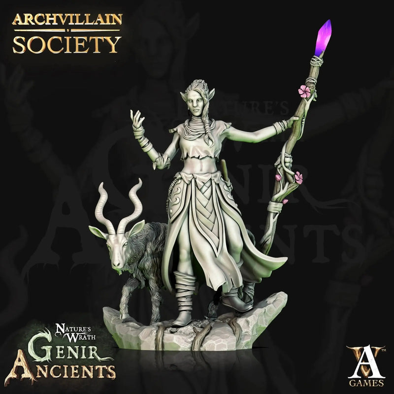 Qinwari the Wild - STL - Archvillain Games
