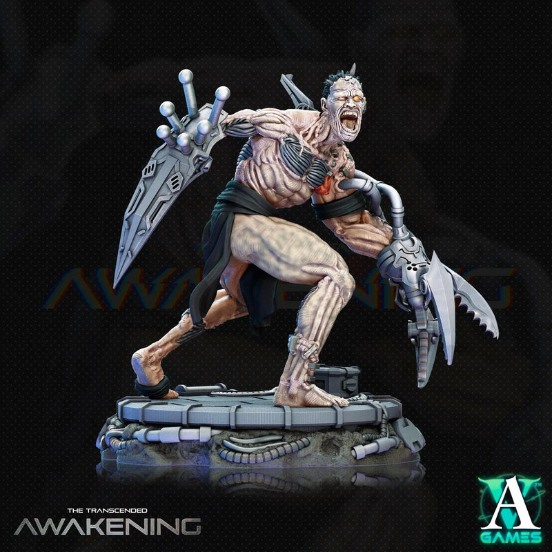 The Transcended - Awakening - STL Bundle - Archvillain Games
